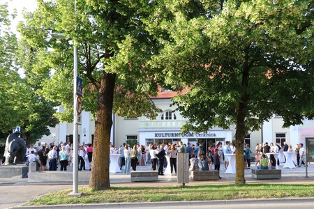 ZLATA PETICA 205 FOTO LJUBO VUKELIČ